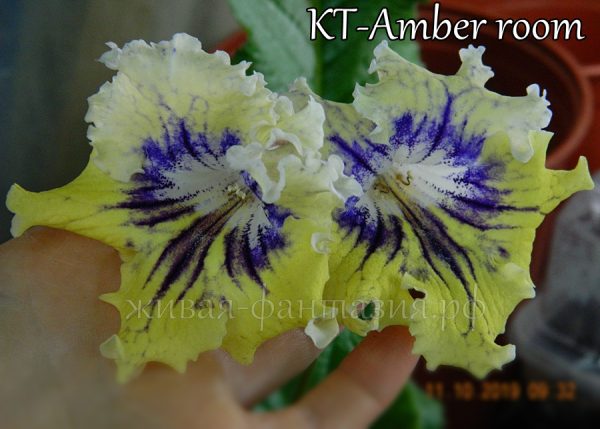 КТ-Amber Room