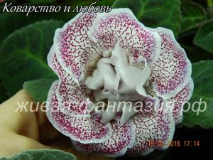 Коварство и Любовь(укор.лист)