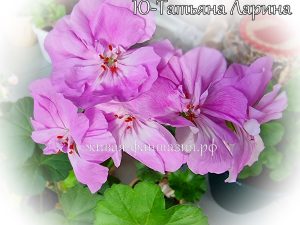 Ю-Татьяна Ларина
